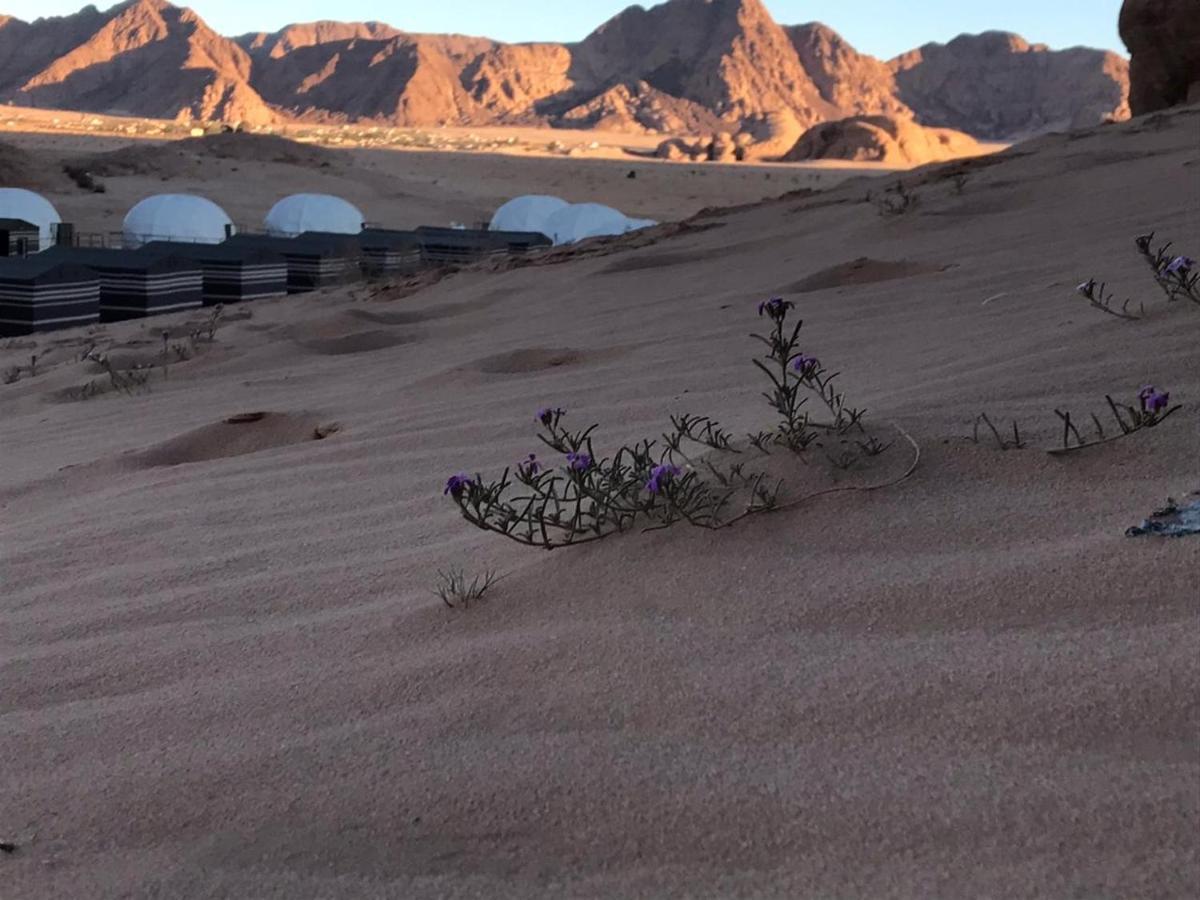 Hotel Oryx Camp Wadi Rum Exterior foto